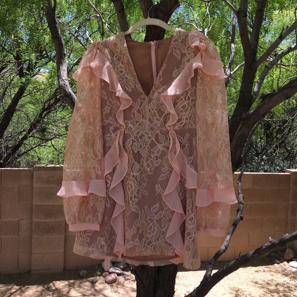 Beautiful for love and lemons lace pink dress ! - Picture 1 of 4